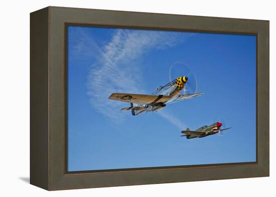 A P-51D Mustang Kimberly Kaye and a P-40E Warhawk in Flight-null-Framed Premier Image Canvas