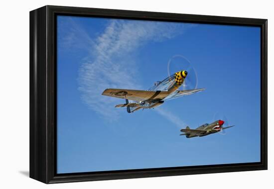 A P-51D Mustang Kimberly Kaye and a P-40E Warhawk in Flight-null-Framed Premier Image Canvas