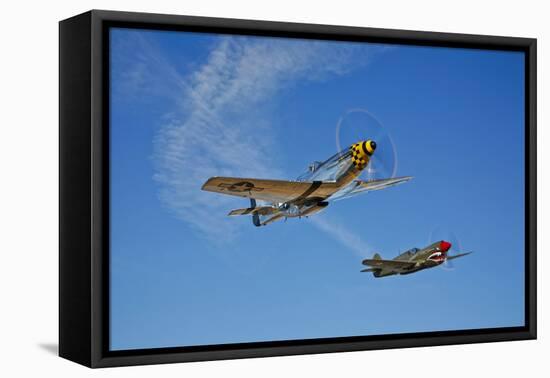 A P-51D Mustang Kimberly Kaye and a P-40E Warhawk in Flight-null-Framed Premier Image Canvas