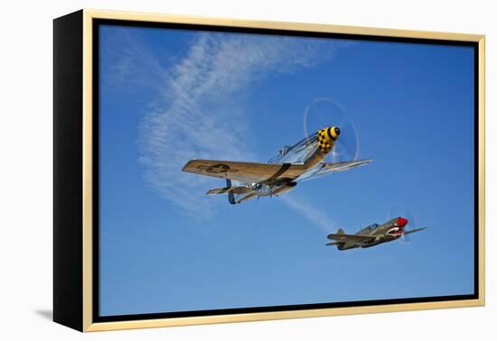 A P-51D Mustang Kimberly Kaye and a P-40E Warhawk in Flight-null-Framed Premier Image Canvas