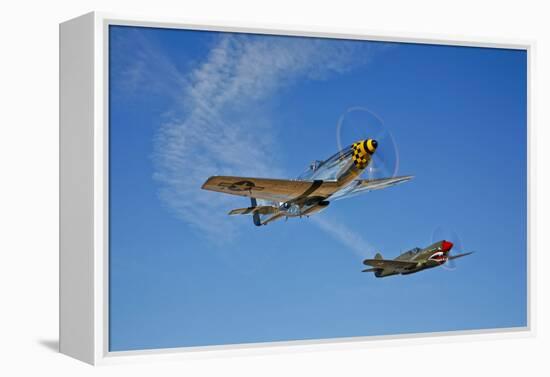 A P-51D Mustang Kimberly Kaye and a P-40E Warhawk in Flight-null-Framed Premier Image Canvas