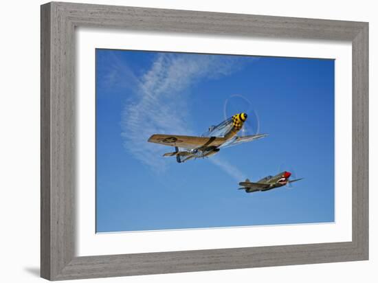 A P-51D Mustang Kimberly Kaye and a P-40E Warhawk in Flight-null-Framed Photographic Print