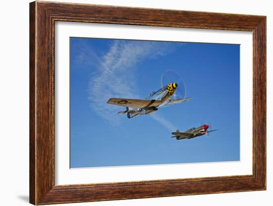 A P-51D Mustang Kimberly Kaye and a P-40E Warhawk in Flight-null-Framed Photographic Print