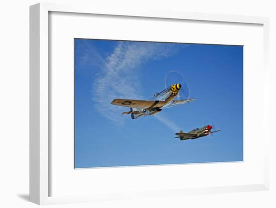 A P-51D Mustang Kimberly Kaye and a P-40E Warhawk in Flight-null-Framed Photographic Print