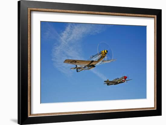 A P-51D Mustang Kimberly Kaye and a P-40E Warhawk in Flight-null-Framed Photographic Print