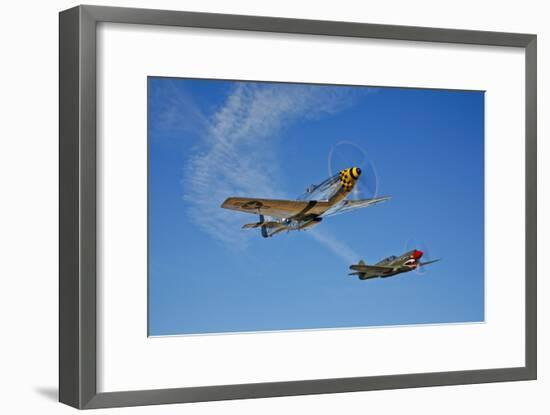 A P-51D Mustang Kimberly Kaye and a P-40E Warhawk in Flight-null-Framed Photographic Print
