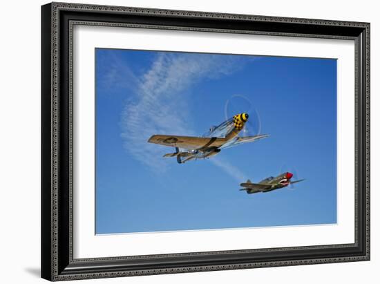 A P-51D Mustang Kimberly Kaye and a P-40E Warhawk in Flight-null-Framed Photographic Print