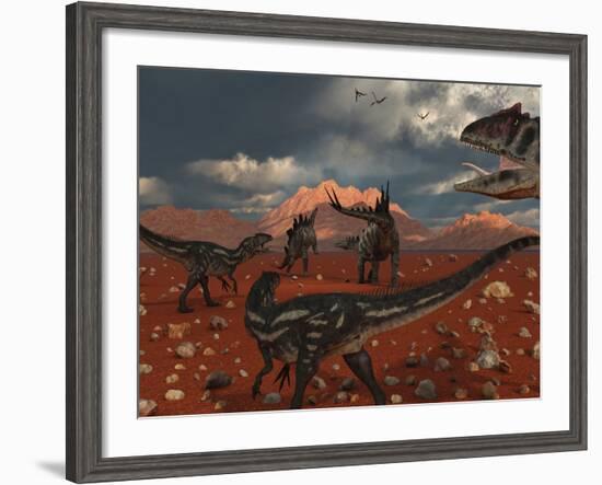 A Pack of Allosaurus Dinosaurs Track Down a Pair of Stegosaurus-Stocktrek Images-Framed Photographic Print