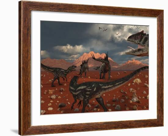 A Pack of Allosaurus Dinosaurs Track Down a Pair of Stegosaurus-Stocktrek Images-Framed Photographic Print