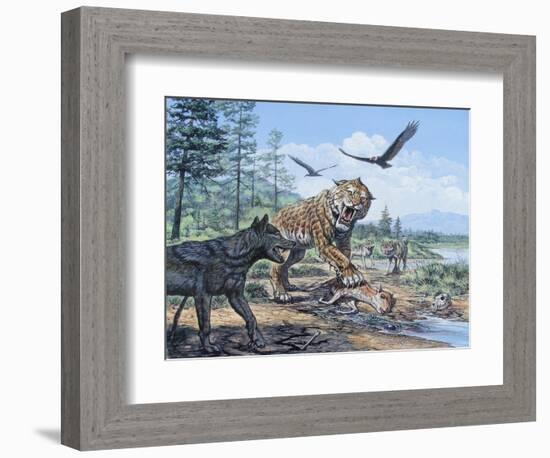 A Pack of Canis Dirus Wolves Approach a Smilodon and its Prey-null-Framed Art Print