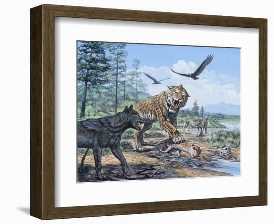 A Pack of Canis Dirus Wolves Approach a Smilodon and its Prey--Framed Art Print