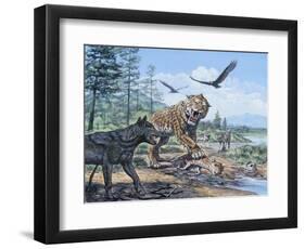 A Pack of Canis Dirus Wolves Approach a Smilodon and its Prey-null-Framed Art Print