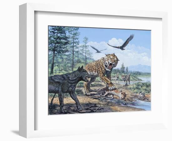 A Pack of Canis Dirus Wolves Approach a Smilodon and its Prey-null-Framed Art Print