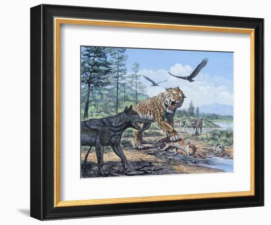 A Pack of Canis Dirus Wolves Approach a Smilodon and its Prey-null-Framed Art Print