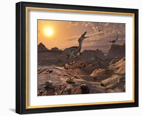 A Pack of Carnivorous Velociraptors from the Cretaceous Period on Earth-Stocktrek Images-Framed Photographic Print