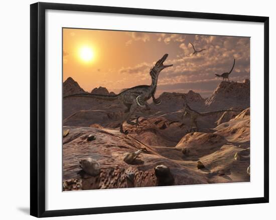 A Pack of Carnivorous Velociraptors from the Cretaceous Period on Earth-Stocktrek Images-Framed Photographic Print