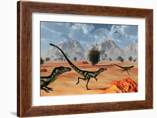 A Pack of Dilong Tyrannosaurid Dinosaurs Hunting-null-Framed Art Print