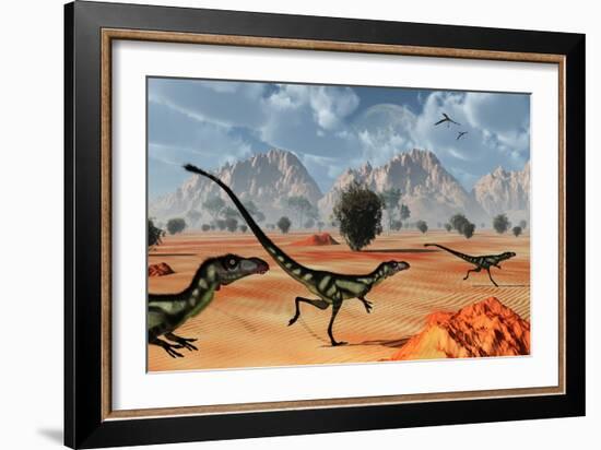 A Pack of Dilong Tyrannosaurid Dinosaurs Hunting-null-Framed Art Print