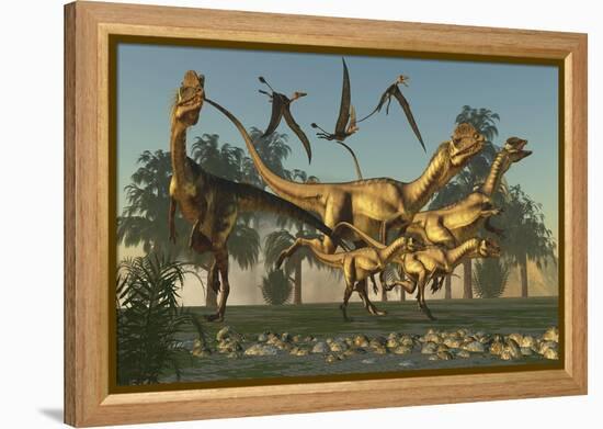 A Pack of Dilophosaurus Dinosaurs Hunting for Prey-null-Framed Stretched Canvas