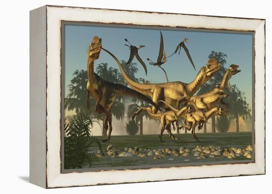 A Pack of Dilophosaurus Dinosaurs Hunting for Prey-null-Framed Stretched Canvas