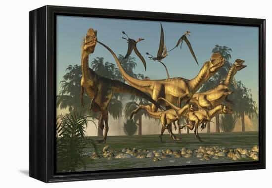 A Pack of Dilophosaurus Dinosaurs Hunting for Prey-null-Framed Stretched Canvas