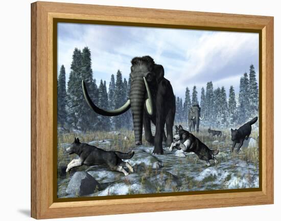 A Pack of Dire Wolves Crosses Paths with Two Mammoths During the Upper Pleistocene Epoch-Stocktrek Images-Framed Premier Image Canvas