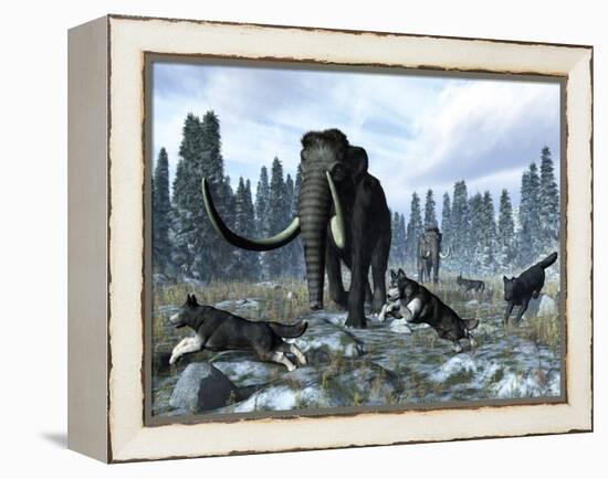 A Pack of Dire Wolves Crosses Paths with Two Mammoths During the Upper Pleistocene Epoch-Stocktrek Images-Framed Premier Image Canvas