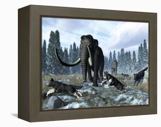 A Pack of Dire Wolves Crosses Paths with Two Mammoths During the Upper Pleistocene Epoch-Stocktrek Images-Framed Premier Image Canvas