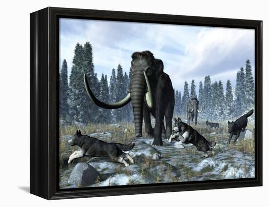 A Pack of Dire Wolves Crosses Paths with Two Mammoths During the Upper Pleistocene Epoch-Stocktrek Images-Framed Premier Image Canvas