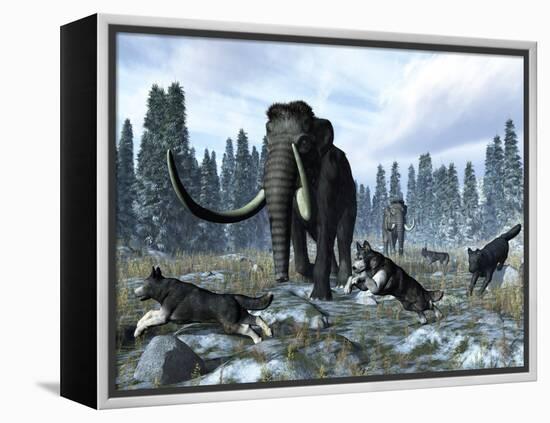 A Pack of Dire Wolves Crosses Paths with Two Mammoths During the Upper Pleistocene Epoch-Stocktrek Images-Framed Premier Image Canvas