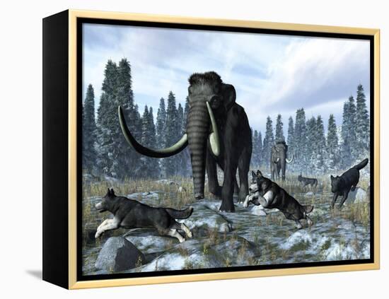 A Pack of Dire Wolves Crosses Paths with Two Mammoths During the Upper Pleistocene Epoch-Stocktrek Images-Framed Premier Image Canvas