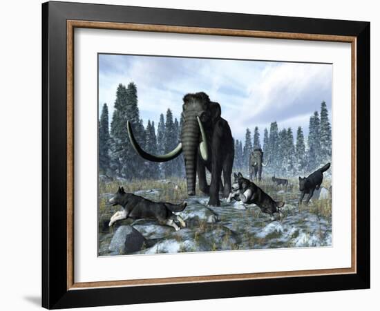 A Pack of Dire Wolves Crosses Paths with Two Mammoths During the Upper Pleistocene Epoch-Stocktrek Images-Framed Photographic Print