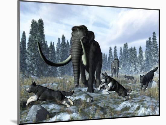 A Pack of Dire Wolves Crosses Paths with Two Mammoths During the Upper Pleistocene Epoch-Stocktrek Images-Mounted Photographic Print