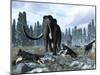 A Pack of Dire Wolves Crosses Paths with Two Mammoths During the Upper Pleistocene Epoch-Stocktrek Images-Mounted Photographic Print