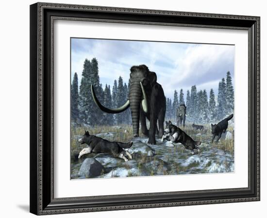 A Pack of Dire Wolves Crosses Paths with Two Mammoths During the Upper Pleistocene Epoch-Stocktrek Images-Framed Photographic Print