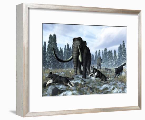 A Pack of Dire Wolves Crosses Paths with Two Mammoths During the Upper Pleistocene Epoch-Stocktrek Images-Framed Photographic Print