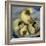 A Pack of Ferrets Clockwise from Top, Chewbacca, Hobart, Dixie B, Wolfgang Amadeaus Motzart-Carolyn Kaster-Framed Photographic Print