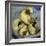 A Pack of Ferrets Clockwise from Top, Chewbacca, Hobart, Dixie B, Wolfgang Amadeaus Motzart-Carolyn Kaster-Framed Photographic Print