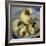 A Pack of Ferrets Clockwise from Top, Chewbacca, Hobart, Dixie B, Wolfgang Amadeaus Motzart-Carolyn Kaster-Framed Photographic Print