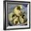 A Pack of Ferrets Clockwise from Top, Chewbacca, Hobart, Dixie B, Wolfgang Amadeaus Motzart-Carolyn Kaster-Framed Photographic Print