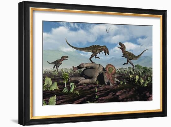 A Pack of Nanotyrannus Dinosaurs Attacking a Lone Triceratops-Stocktrek Images-Framed Art Print