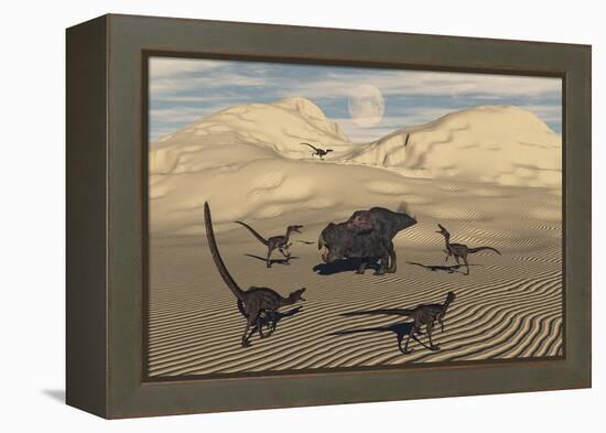 A Pack of Velociraptors Encircling a Lone Protoceratops-null-Framed Stretched Canvas