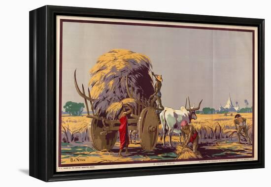 A Paddy Field, from the Series 'Burma: a Land of Rich Resources'-Ba Nyan-Framed Premier Image Canvas