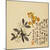 A Page (Flowers) from Flowers and Bird, Vegetables and Fruits-Li Shan-Mounted Giclee Print