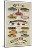 A Page from Mrs Beeton's Cookbook on Fish-null-Mounted Giclee Print