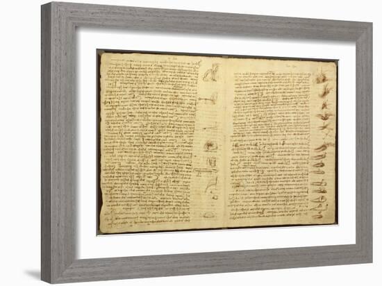 A Page from the Codex Leicester, 1508-12-Leonardo da Vinci-Framed Giclee Print