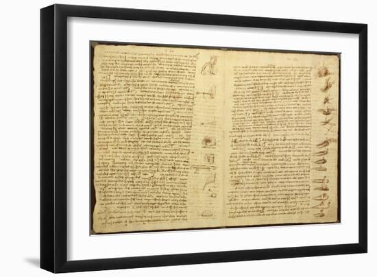 A Page from the Codex Leicester, 1508-12-Leonardo da Vinci-Framed Giclee Print