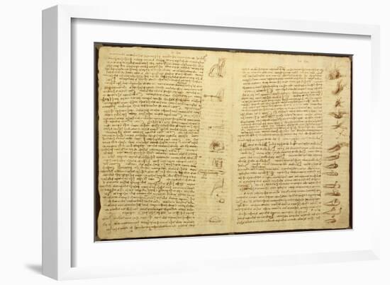 A Page from the Codex Leicester, 1508-12-Leonardo da Vinci-Framed Giclee Print