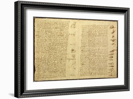 A Page from the Codex Leicester, 1508-12-Leonardo da Vinci-Framed Giclee Print