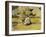 A Painter at Work-Paul Cézanne-Framed Giclee Print